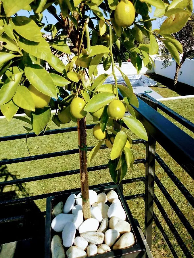 Torreguadiaro Villa - 2 Mins Walk From The Bars And Restaurants San Roque  San Roque (Andalucia)
